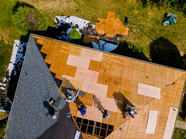 Best Roof Replacement Cost  in Citrus City, TX