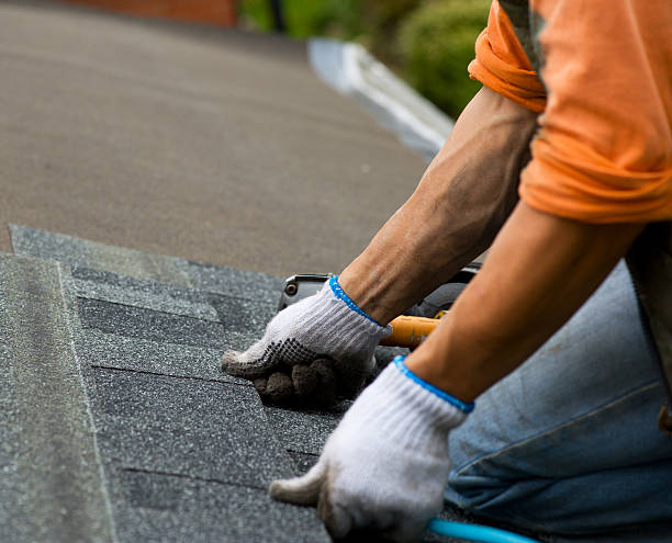 Best Local Roofing Companies  in Citrus City, TX