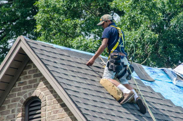 Best Storm Damage Roof Repair  in Citrus City, TX